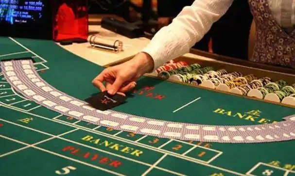 Ekor Number live dealer broadcast on agen303 login HD stream